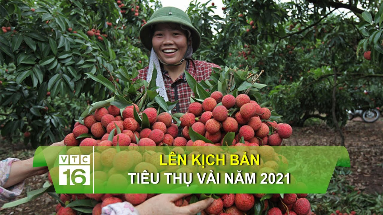Nhiều trường đại học nhận hồ sơ xét học bạ từ tháng 5_Biên tập video