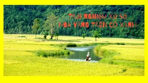 Hà Nội FC gửi công văn kiến nghị trọng tài làm trái quy định V.League